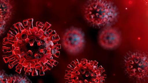 ظهر وباء السارس عام 2003 عن طريق فيروس تاجي وليس عن طريق فيروس الإنفلونزا