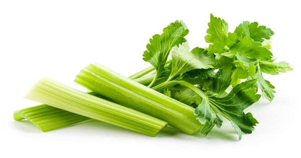 Fresh celery