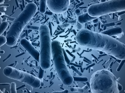 Bacterial pathogen Porphyromonas