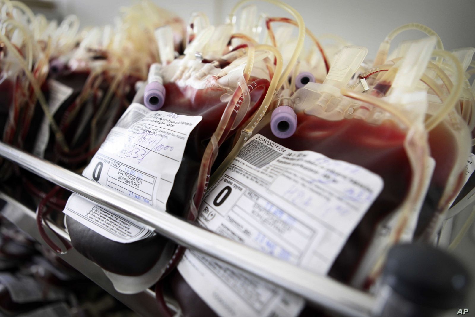 research papers on blood banks