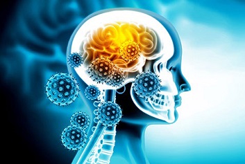 Revolutionizing the Treatment of Brain Disorders - SBU News