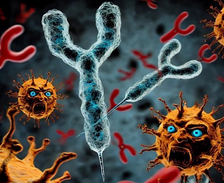 Columbia study reveals alarming resistance of KP.3.1.1 variant to America s last monoclonal antibody defense Thailand Medical News