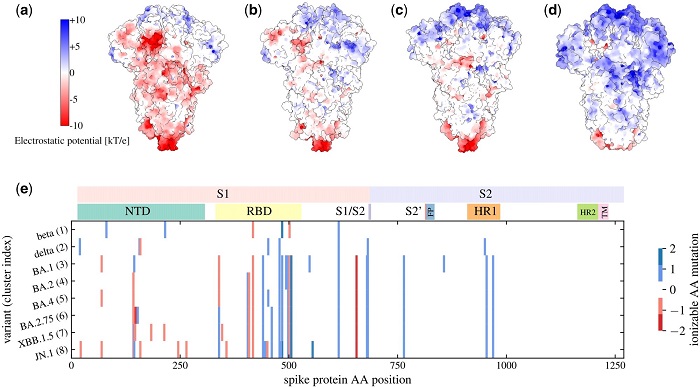 COVID-19-News-Emerging-Lineages-Of-SARS-CoV-2-Exhibiting-Changes-In-Total-Charge-On-Spike-Protein.jpg