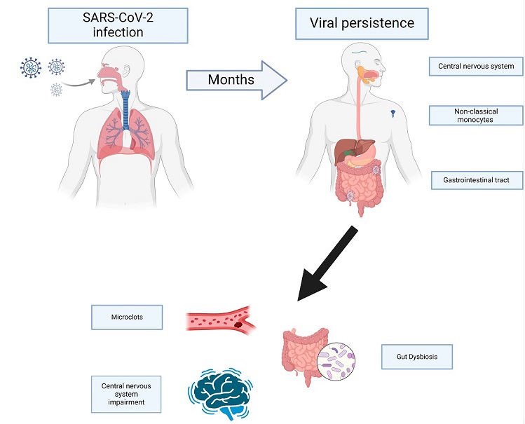 COVID-19-News-Scientists-Warn-That-Viral-Persistence-Is-The-Primary-Contributing-Factor-To-Long-COVID.jpg