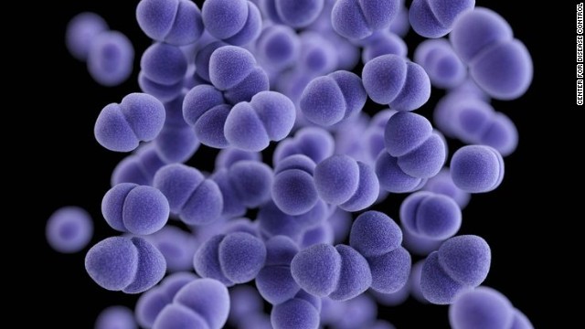 Centyrins Shows Potential Against  Staphylococcus Aureus