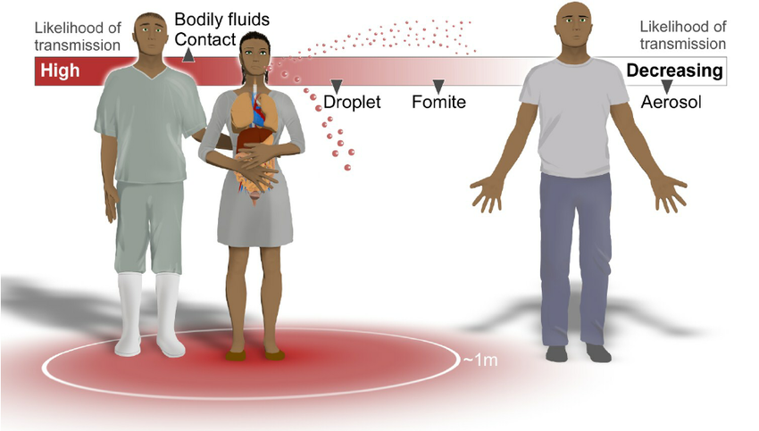 China Officially Announces That The Coronavirus Can Be Airborne ...