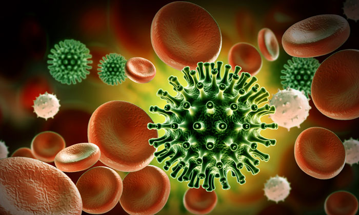 Virus Has Mutated Gene Similar To HIV