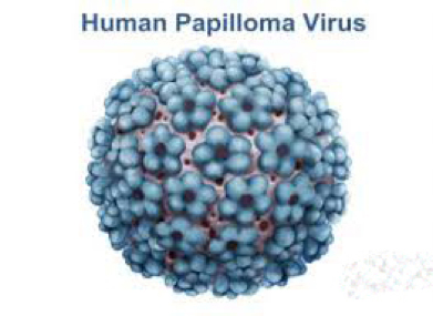 HPV related