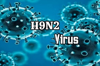 Medical-News-Emergence-Novel-Human-Avian-Reassortment-H9N2-Virus-In-Guangdong-China.jpg
