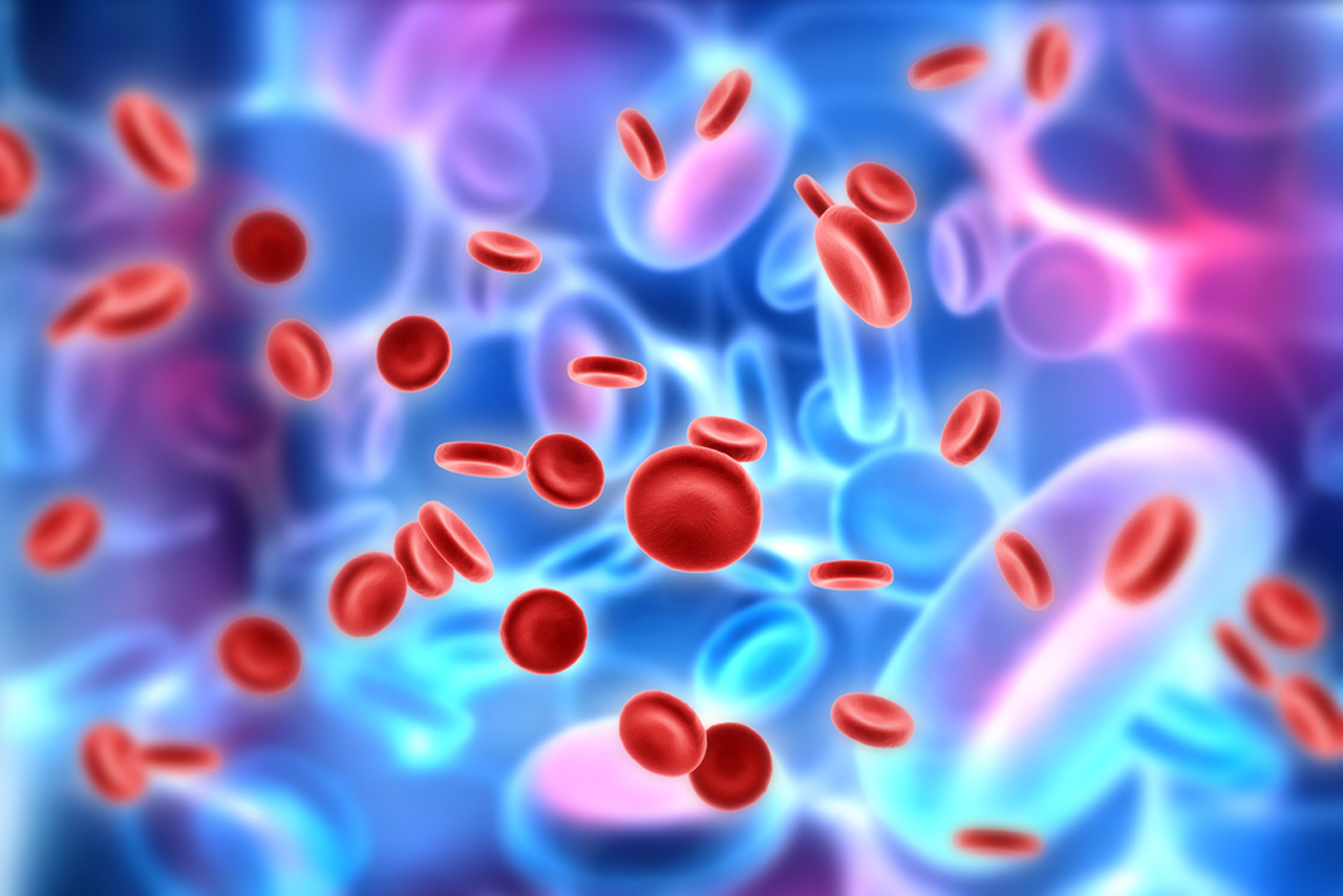 Novel stem cell protocol for leukemia