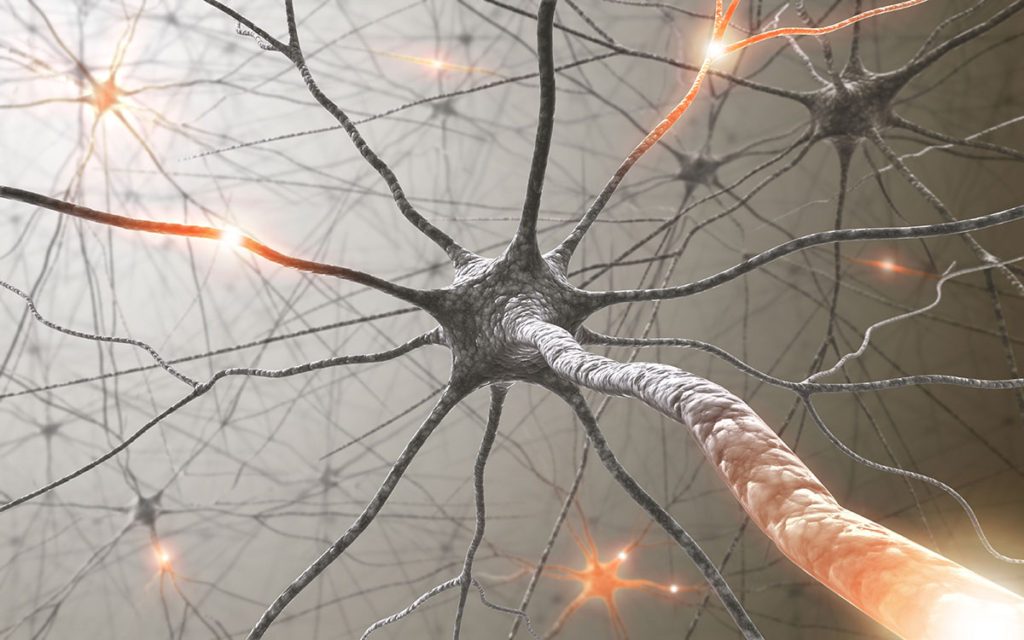 Research Gene therapy promotes faster nerve regeneration