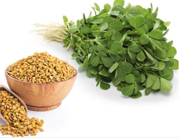 Review About Fenugreek