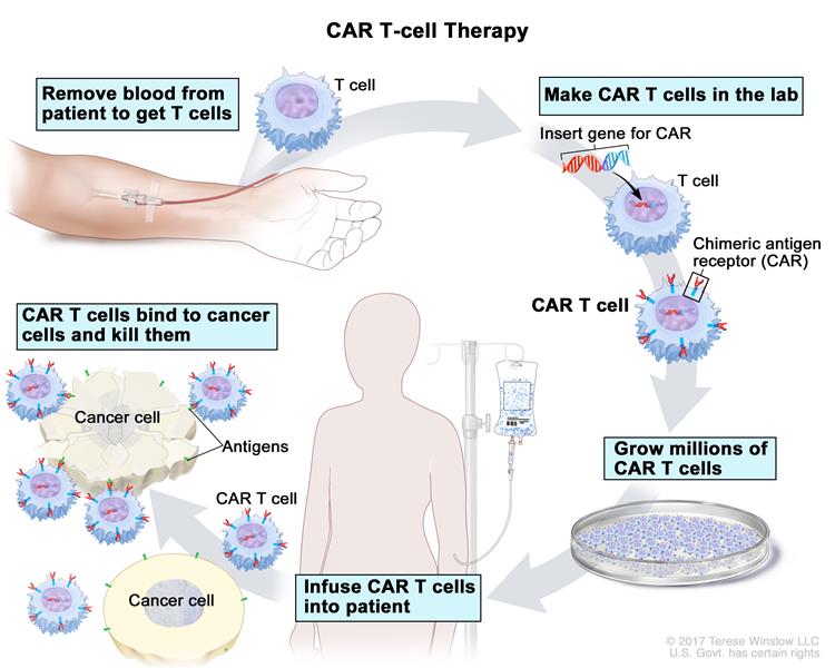 mesothelioma ipilimumab and nivolumab