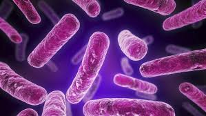 Transmitted Infections