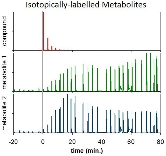 analysis for