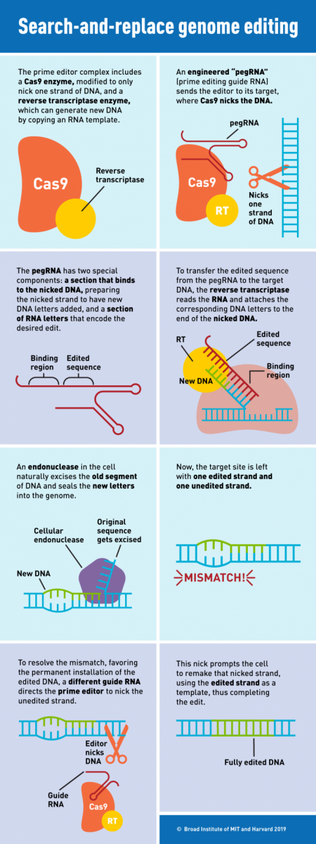 genome-editing-system