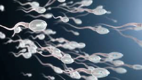 infertile men