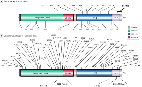 neurodegeneration