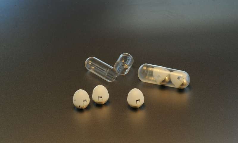 Oral Insulin Capsule